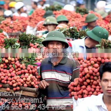 VIET NAM FRESH LYCHEE / LITCHI/LITCHEE