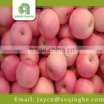China Best Market Price Fuji Apple photo-3