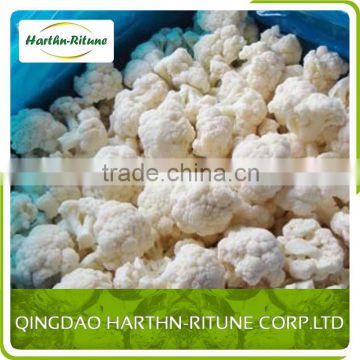 IQF Frozen Bulk Cauliflower Best White