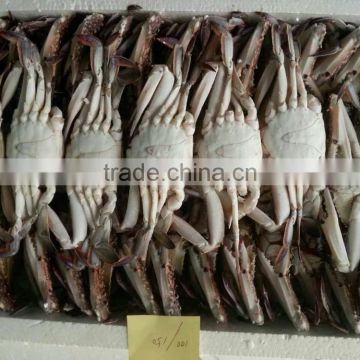 Wholesale Frozen Blue Swimming Crab Price