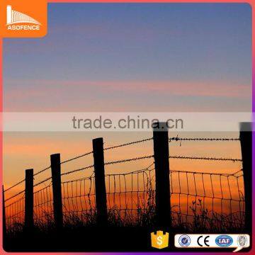 barbed wire razor wire mesh wall spike for high security fence