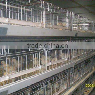 Automatic chicken cage