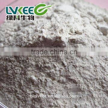 High Quality 50 Bilion Cfu/g Bacillus Laterosporus for Animal Additives Supplements