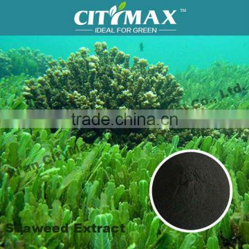 seaweed imo organic fertilizer