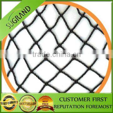 High Quality Factory Produce Anti Bird Net for Fruit Trees photo-3