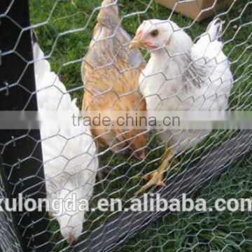 hexagonal chicken wire mesh