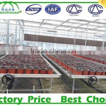 Agriculture Greenhouse Rolling Bench photo-3