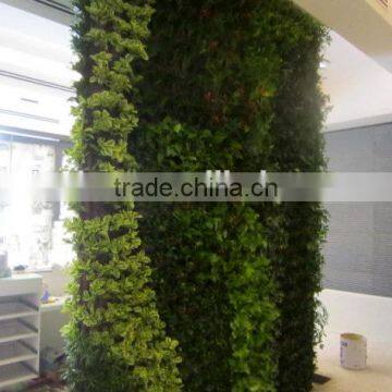 High Technique Artificial Boxwood Hedge Wall Artificial Green Wall photo-3