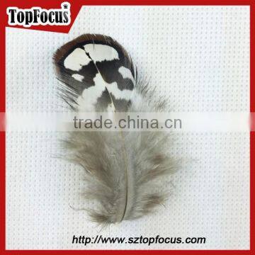 Hot Sale Dyed Wholesale Natural Cheap Artificial Pheasant Feathers Prices photo-3