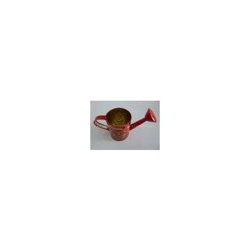 Sprinkling Tin Can