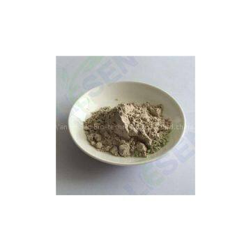 Onion Powder