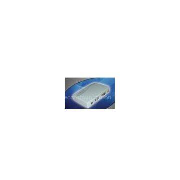 GSM fixed wireless terminal wtih PSTN