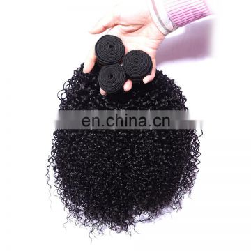 china hair factory 10a grade indian hair wholesale afro curly human hair weft