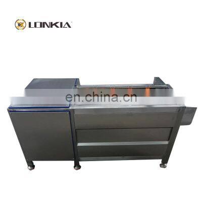 Fully Automatic Electric Brush Roller Washing Machine for Sweet Potato Taro Ginger Carrot Cassava Peeling Machine Price photo-4