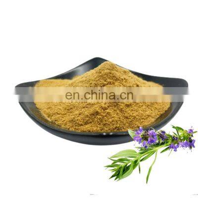 OEM Manufacturer Supply Raw Powder Verbena Powder With Best Price