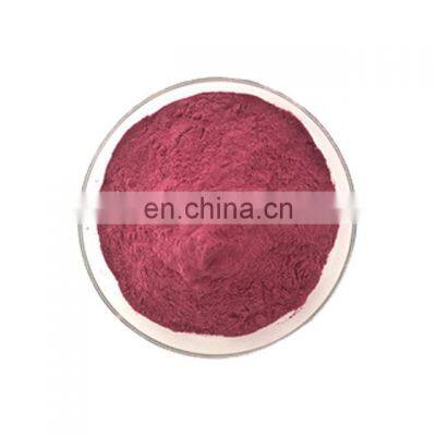 Freeze Dried Red Pink Pitaya Fruit Powder photo-3