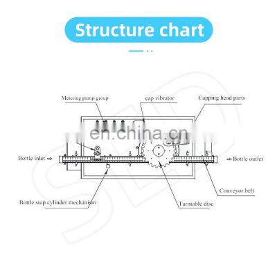 Stainless Steel 4 Head Syrup Liquid Detergent Bottle Filling Machine photo-4