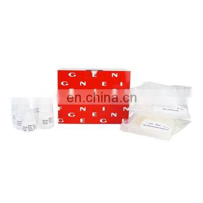 Genfine China Low Price Hot Sale Nucleic Acid Extraction Kit and Purification Kit For Centrifuge