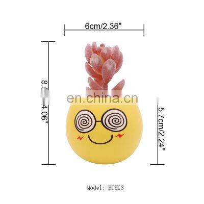Amazon Cute Emoticons Indoor Artificial Faux Potted Variegated Plants Haworthia Succulent Cactus Plants Potted Bonsai