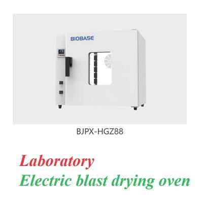 Laboratory Electric Blast Drying Oven photo-5
