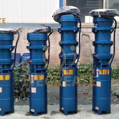 Small Size Submersible Pump