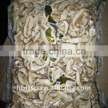 Shiitake Mushroom Cultivation photo-5