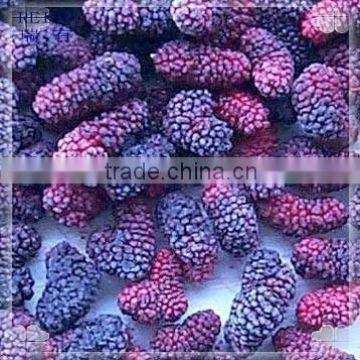 Hot Sell Frozen Mulberry Black IQF Mulberries