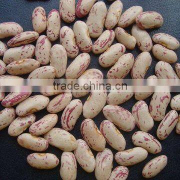 light speckled kidney beans