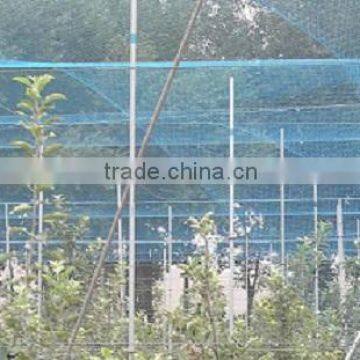 100% PP High Tensile Plastic Anti Bird Net/plant Protection Net