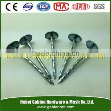 Roofing nails supplier galvanized roofing nailsgalvanized umbrella roofi