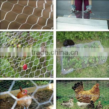 hexagonal wire mesh/ chicken wire mesh from China manufacturer