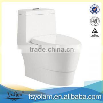 YL1031 one piece washdown/hydrocone type water closet