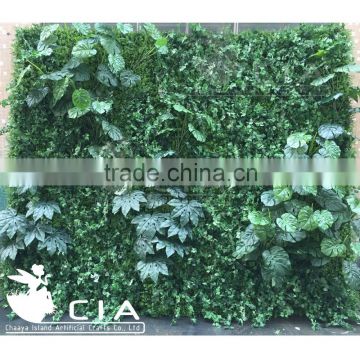 Natural Looking Artificial Grass Living Wall