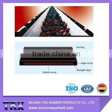 Fire Resistant Conveyor Belt/High Temperature Conveyor Belt photo-2