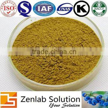 Epimedium leaf extract for male virility