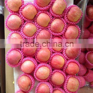 Famous China YanTai fresh fuji apple