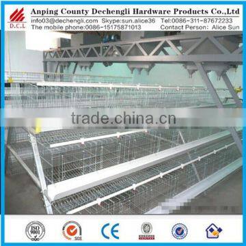 best sale A type chicken layer cage /poultry layer cage/chicken cage