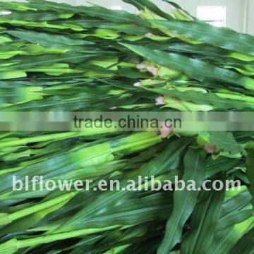 silk corn plant natural touch