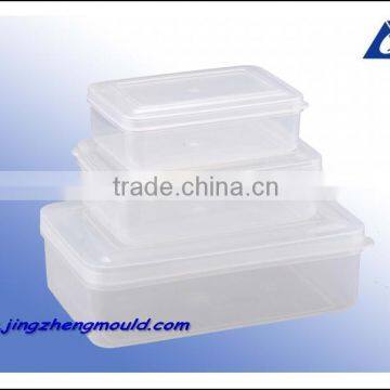 PLASTIC THIN WALL THICKNESS MOULD CO