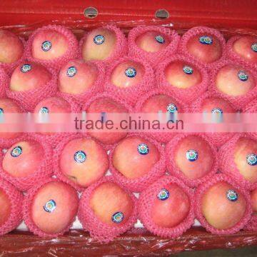 china yantai fuji apple