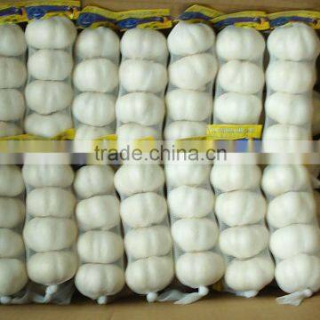 Pure White Garlic