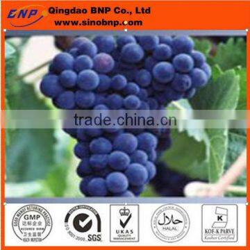 red grape skin extract-Resveratrol,resveratrol 5% from red grape skin