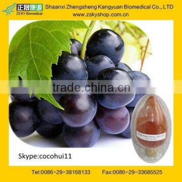 GMP manufacturer supply 95%OPC Grape Seed Extract Supplement