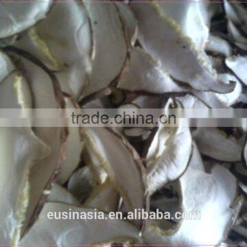 CHINESE SHIITAKE MUSHROOM