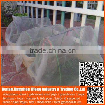 20/30/40/50 Mesh100% Virgin Hdpe Plastic Agriculture Greenhouse Vegetable and Fruit Anti-insect Net , Nylon Insect Net photo-2