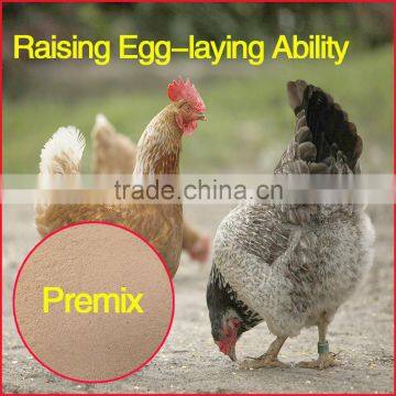 Laying Hens in the Laying Period Increase the Laying Rate Composite Additive