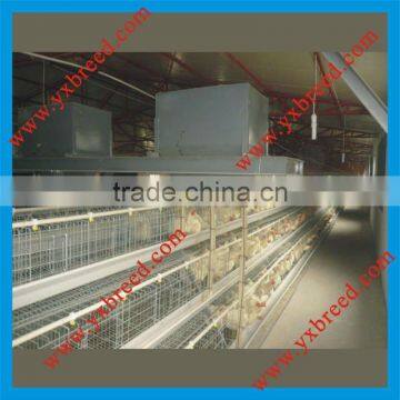 Poultry feeding system