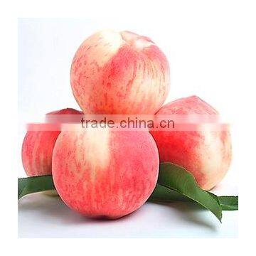 1-MCP Peach Fresh Keeping Agent