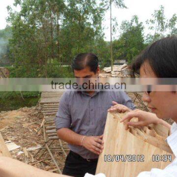 Eucalyptus Core Veneer