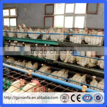 Q235 Galvanized Steel A type and H type Type battery chicken coop/chicken layer cage (Guangzhou Factory)